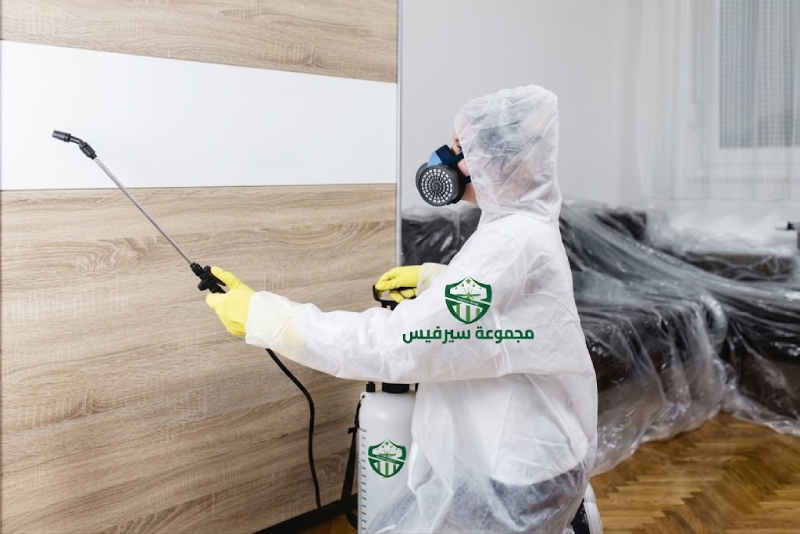 هل الكلور يقتل البق؟ 5 أسباب تجعل رشه على السرير خطراً كارثياً